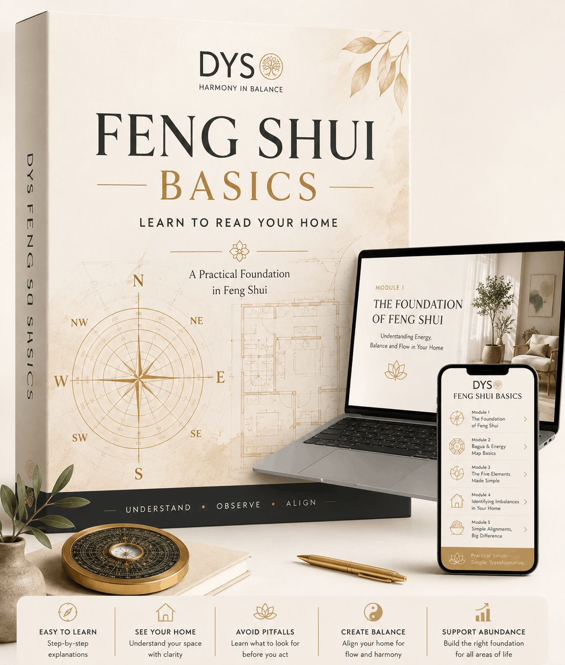 DYS Feng Shui Basics Course